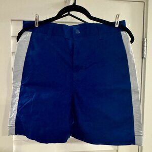 Urban Outfitters Vintage Shorts (Blue w/ White Stripe, Cotton Blend, Size 30)
